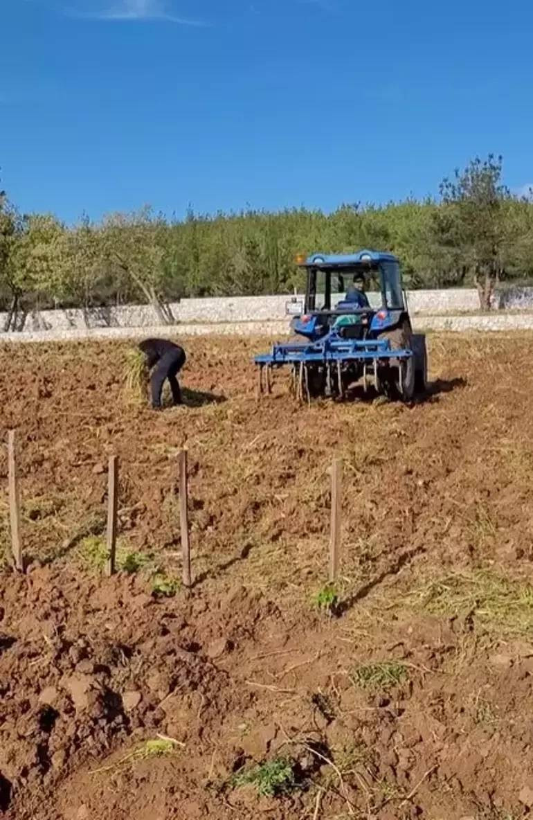Avrupa Yakası'nın Şesu’su İstanbul’u terk etti. Şimdi tarlada turp ekiyor - Resim: 7